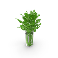 Cilantro Water Glass PNG & PSD Images