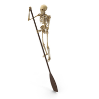 Worn Skeleton Oaring Standing With Long Wooden Oar Paddle PNG & PSD Images