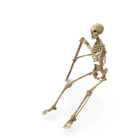 Worn Skeleton Oaring Sitting With Wooden Paddle PNG & PSD Images