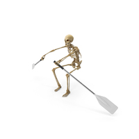 Worn Skeleton Oaring With Two Paddles PNG & PSD Images