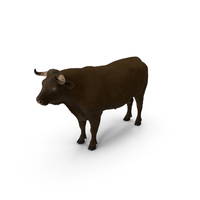 Bull Body Static PNG & PSD Images