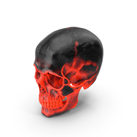 Human Skull Sci Fi Hot PNG & PSD Images