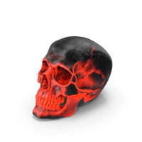 Human Skull Sci Fi Hot Posed PNG & PSD Images
