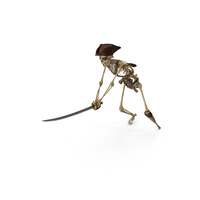 Worn Skeleton Pirate Sword Swing Downwards PNG & PSD Images