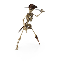Worn Skeleton Pirate Ready To Sword Swing Sideways PNG & PSD Images