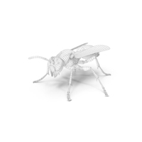 Wireframe Paper Wasp PNG & PSD Images
