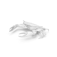Wireframe Atlantic Blue Crab PNG & PSD Images
