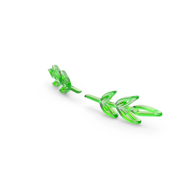 Leaf Border design Green Glass PNG & PSD Images