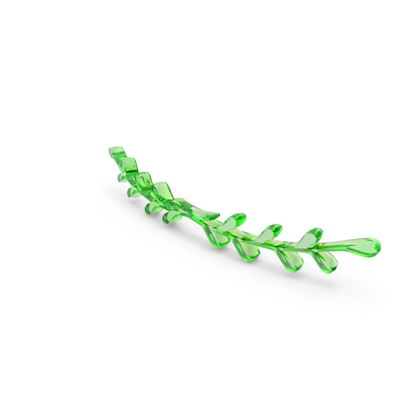 Leaf Border Green Glass PNG & PSD Images