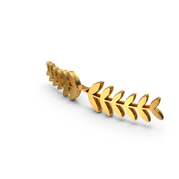 Decorate Leaf Design Frame Gold PNG & PSD Images