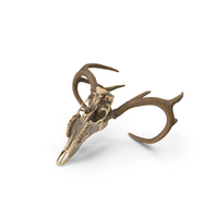 Deer Skull Posed PNG & PSD Images