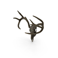 Deer Skull Old Bronze PNG & PSD Images