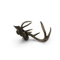 Deer Skull Old Bronze Posed PNG & PSD Images