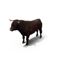 Bull with Fur PNG & PSD Images