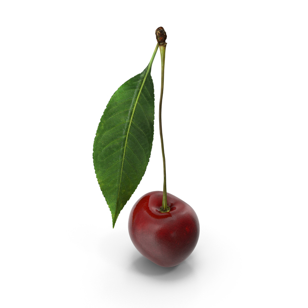 Cherry with Leaf PNG & PSD Images