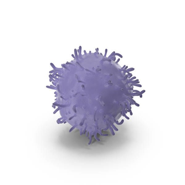Lymphocyte PNG & PSD Images
