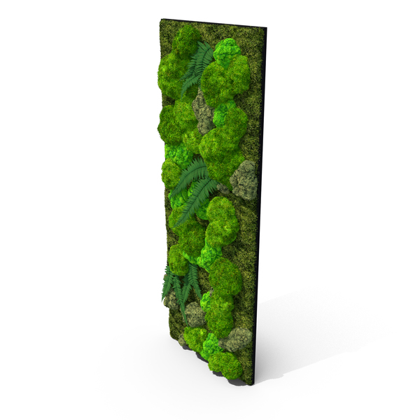 Natural Moss Wall With Preserved Plants Fur PNG & PSD Images