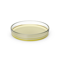 Petri Dish With Yellow Liquid PNG & PSD Images