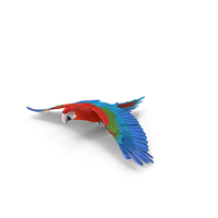 Red and Green Macaw Parrot Flight Pose PNG & PSD Images