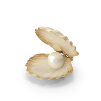 Sea Shell With Pearl PNG & PSD Images