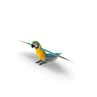 Blue and Yellow Macaw Parrot Neutral Pose PNG & PSD Images