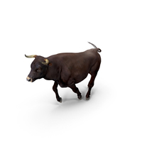 Bull Running Pose PNG & PSD Images