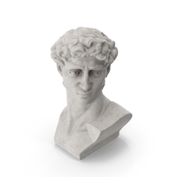 Bust of David by Michelangelo PNG & PSD Images