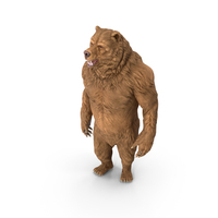 Bear PNG & PSD Images