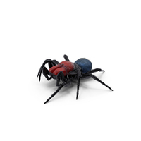 Missulena Spider with Fur PNG & PSD Images