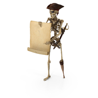 Worn Skeleton Pirate Pointing at Open Blank Scroll PNG & PSD Images