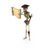 Worn Skeleton Pirate Reading A Blank Scroll PNG & PSD Images
