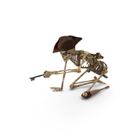 Worn Skeleton Pirate Sitting Using Key PNG & PSD Images