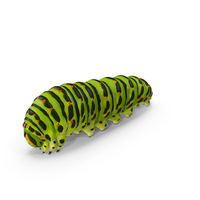 Caterpillar with Fur PNG & PSD Images