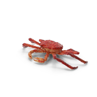 Red King Crab PNG & PSD Images