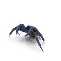 Robber Crab Walking Pose PNG & PSD Images