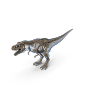 Tyrannosaurus Rex Skeleton Fossil with Skin PNG & PSD Images