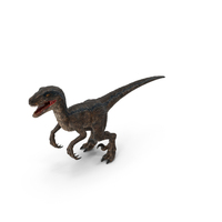 Velociraptor PNG & PSD Images