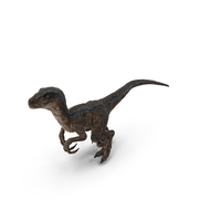 Velociraptor Walking Pose PNG & PSD Images