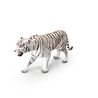 White Tiger Roar PNG & PSD Images