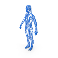 Blue Wired Human Body PNG & PSD Images