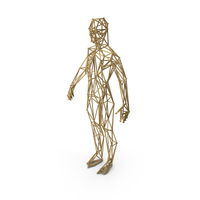 Golden Wired Human Body PNG & PSD Images