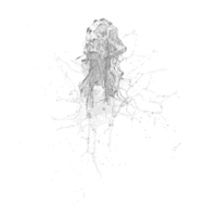 Splash PNG & PSD Images