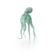 Blue Octopus Swiming Pose PNG & PSD Images