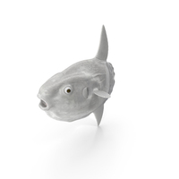 Ocean Sunfish Common Mola PNG & PSD Images