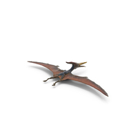 Pteranodon PNG & PSD Images