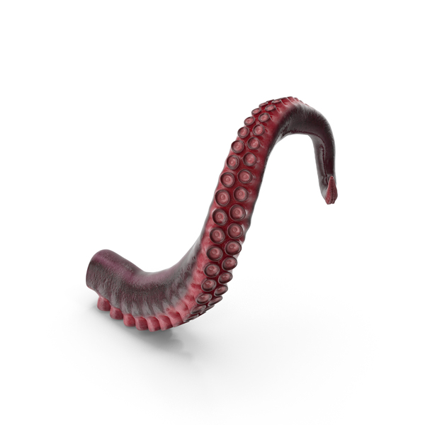 Tentacle of Octopus PNG & PSD Images