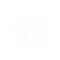 Splash PNG & PSD Images