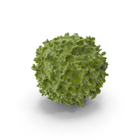 Abstract Virus PNG & PSD Images