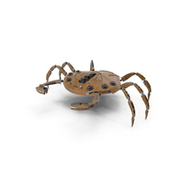Robot Crab PNG & PSD Images