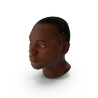 African American Male Head PNG & PSD Images